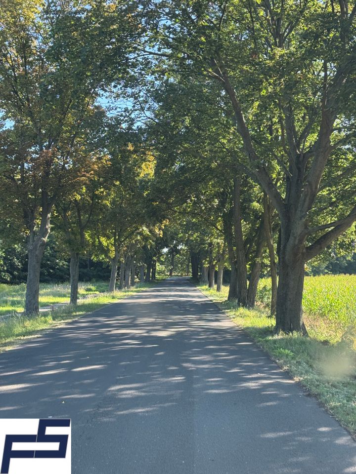 Der Heimweg