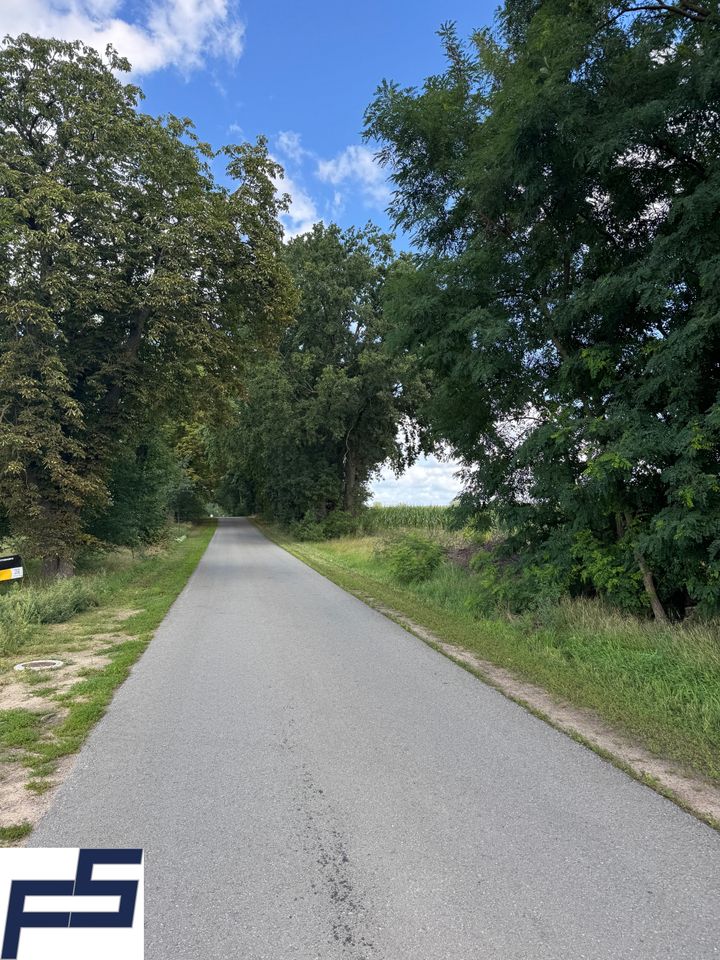 Zufahrt, Blick nach Norden